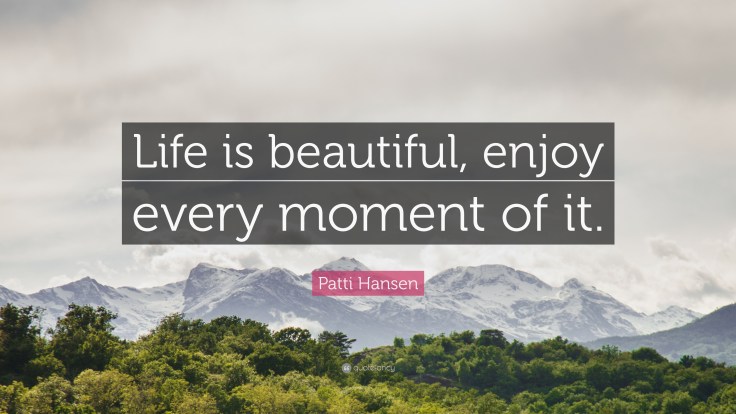 1622688-Patti-Hansen-Quote-Life-is-beautiful-enjoy-every-moment-of-it